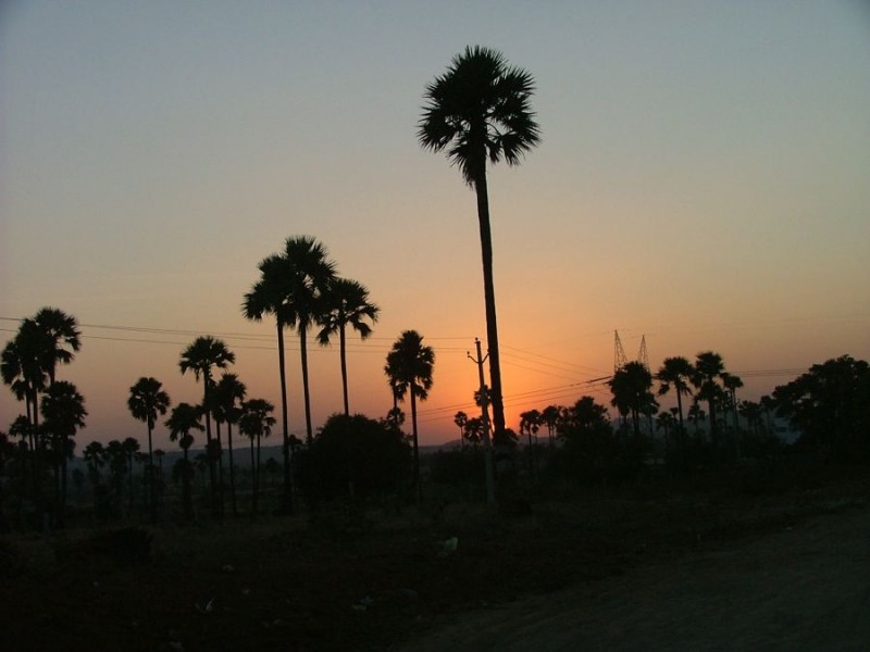 130 Sunset.