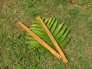 2008_1130hawaiianperc0037