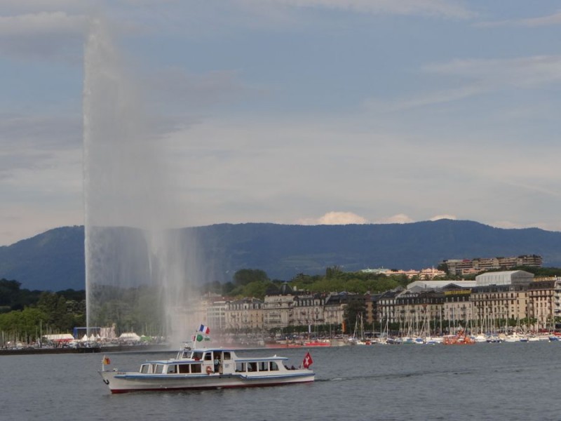 Geneva 46