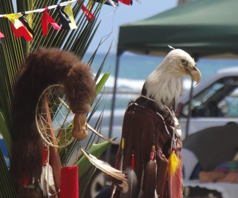 Powwow in Paradise